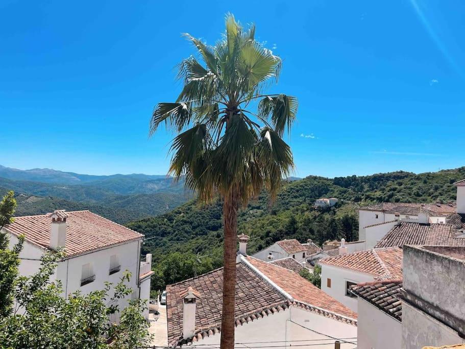 La Palmera. Casa Rural Con Piscina Privada. Benadalid Buitenkant foto